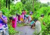 Ambaw Ponkshe Cleanliness Drive: गणेशोत्सवानिमित्त आंबव पोंक्षे गावात स्वच्छता अभियान; ग्रामस्थांचा उत्स्फूर्त सहभाग