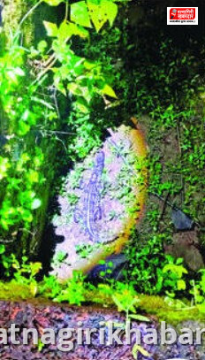 Crocodile Rescue Chiplun: चिपळूणमध्ये पाण्याच्या टाकीत अडकलेल्या मगरीच्या पिल्लाची सुरक्षित सुटका; वनविभागाची धडक कारवाई Crocodile Rescue Chiplun: चिपळूणमध्ये पाण्याच्या टाकीत अडकलेल्या मगरीच्या पिल्लाची सुरक्षित सुटका; वनविभागाची धडक कारवाई