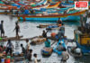 Fishermen Electricity Subsidy: मच्छीमारांना शेतकऱ्यांप्रमाणे वीजदर सवलत; मत्स्य व्यवसायाला मिळाला कृषी समकक्ष दर्जाचा लाभ Fishermen Electricity Subsidy: मच्छीमारांना शेतकऱ्यांप्रमाणे वीजदर सवलत; मत्स्य व्यवसायाला मिळाला कृषी समकक्ष दर्जाचा लाभ