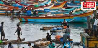 Fishermen Electricity Subsidy: मच्छीमारांना शेतकऱ्यांप्रमाणे वीजदर सवलत; मत्स्य व्यवसायाला मिळाला कृषी समकक्ष दर्जाचा लाभ