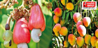 Krishi Yojana Anudan Campaign: कृषी योजना अनुदानासाठी रत्नागिरी जिल्ह्यात विशेष मोहीम सुरू; १५ ऑक्टोबरपर्यंत अर्ज करण्याचे आवाहन