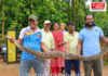 Lanja Python Rescue: धुंदरे येथे कोंबड्यांच्या खुराड्यात आढळला ९ फूट लांबीचा अजगर; सर्पमित्राकडून सुरक्षित सुटका
