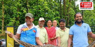 Lanja Python Rescue: धुंदरे येथे कोंबड्यांच्या खुराड्यात आढळला ९ फूट लांबीचा अजगर; सर्पमित्राकडून सुरक्षित सुटका