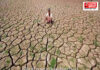 Maharashtra Drought Situation Update: महाराष्ट्रात दुष्काळाचे सावट; पालकमंत्र्यांना शेतात जाऊन पाहणी करण्याचे मुख्यमंत्र्यांचे आदेश Maharashtra Drought Situation Update: महाराष्ट्रात दुष्काळाचे सावट; पालकमंत्र्यांना शेतात जाऊन पाहणी करण्याचे मुख्यमंत्र्यांचे आदेश