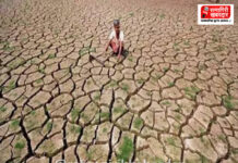 Maharashtra Drought Situation Update: महाराष्ट्रात दुष्काळाचे सावट; पालकमंत्र्यांना शेतात जाऊन पाहणी करण्याचे मुख्यमंत्र्यांचे आदेश Maharashtra Drought Situation Update: महाराष्ट्रात दुष्काळाचे सावट; पालकमंत्र्यांना शेतात जाऊन पाहणी करण्याचे मुख्यमंत्र्यांचे आदेश