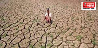 Maharashtra Drought Situation Update: महाराष्ट्रात दुष्काळाचे सावट; पालकमंत्र्यांना शेतात जाऊन पाहणी करण्याचे मुख्यमंत्र्यांचे आदेश