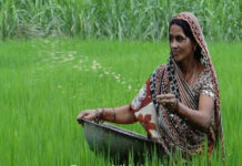 Mahila Shetkari Pramanpatra: 'महिला शेतकरी सक्षमीकरण अधिनियम २०२६' अंतर्गत महिलांना मिळणार स्वतंत्र ओळख
