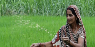 Mahila Shetkari Pramanpatra: 'महिला शेतकरी सक्षमीकरण अधिनियम २०२६' अंतर्गत महिलांना मिळणार स्वतंत्र ओळख