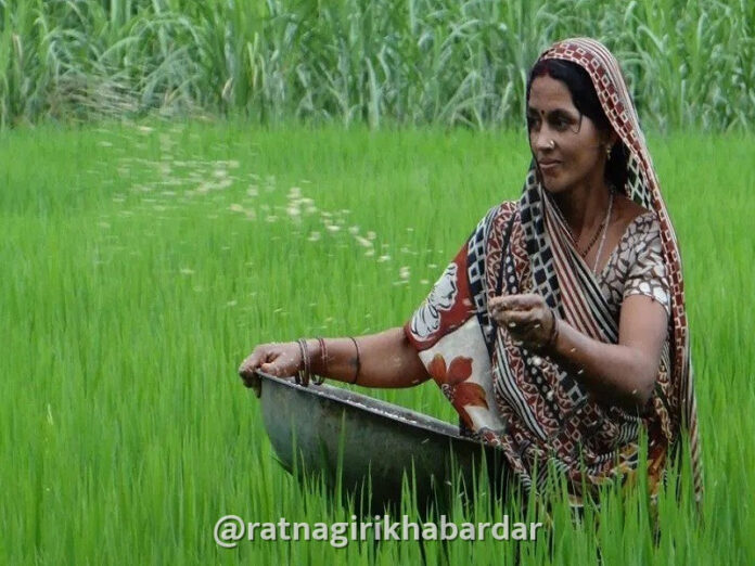 Mahila Shetkari Pramanpatra: 'महिला शेतकरी सक्षमीकरण अधिनियम २०२६' अंतर्गत महिलांना मिळणार स्वतंत्र ओळख