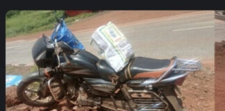 Ratnagiri Bike Accident: पाली येथे भरधाव मोटारीच्या धडकेत दुचाकीस्वाराचा मृत्यू, पत्नी गंभीर