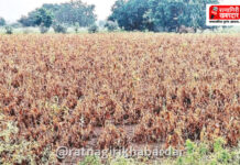 Ratnagiri Drought 2026: रत्नागिरी, संगमेश्वर, राजापूर तालुक्यात दुष्काळ जाहीर!