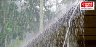 Ratnagiri Weather Update: सलग दुसऱ्या दिवशी रत्नागिरीत पावसाची हजेरी