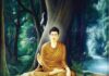Watad Purva Jetavan Buddha Vihar Varshavas Event: वाटद पूर्व जेतवन बुद्धविहारात उद्या वर्षावास धम्मप्रबोधन कार्यक्रम