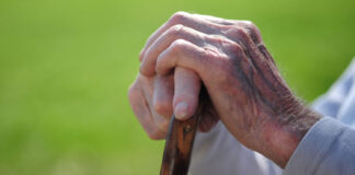 World Senior Citizens Day: रत्नागिरी शहर ज्येष्ठ नागरिक संघातर्फे गुरुवारी विशेष सत्कार सोहळा