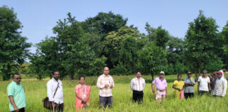गुहागर तालुक्यातील निवोशी येथे भात नुकसानीची सभापती प्रणव पोळेकर यांनी केली पाहणी