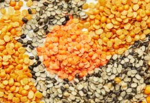Pulses Price Hike: डाळींच्या दरात घाऊक व किरकोळ बाजारात मोठी वाढ!