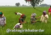 Ahilyadevi Holkar Karj Mukti Yojana: 'अहिल्यादेवी होळकर शेतकरी कर्जमुक्ती योजने'ची ७२८ शेतकऱ्यांची चौथी यादी जाहीर