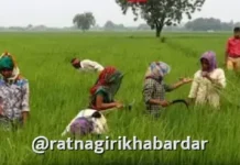 Ahilyadevi Holkar Karj Mukti Yojana: 'अहिल्यादेवी होळकर शेतकरी कर्जमुक्ती योजने'ची ७२८ शेतकऱ्यांची चौथी यादी जाहीर