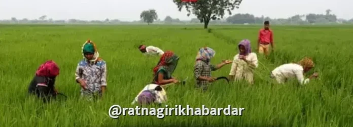 Ahilyadevi Holkar Karj Mukti Yojana: 'अहिल्यादेवी होळकर शेतकरी कर्जमुक्ती योजने'ची ७२८ शेतकऱ्यांची चौथी यादी जाहीर