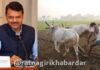 Ahilyadevi Holkar Karjmafi Yojana 2026: पुण्यश्लोक अहिल्यादेवी होळकर कर्जमाफी योजनेचा तिसरा हप्ता वितरित; राज्यातील बळीराजाला मोठा दिलासा