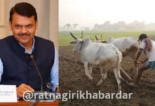 Ahilyadevi Holkar Karjmafi Yojana 2026: पुण्यश्लोक अहिल्यादेवी होळकर कर्जमाफी योजनेचा तिसरा हप्ता वितरित; राज्यातील बळीराजाला मोठा दिलासा