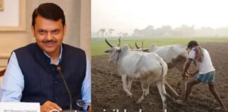 Ahilyadevi Holkar Karjmafi Yojana 2026: पुण्यश्लोक अहिल्यादेवी होळकर कर्जमाफी योजनेचा तिसरा हप्ता वितरित; राज्यातील बळीराजाला मोठा दिलासा
