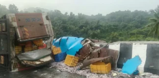 Anjanari Ghat Accident: अंजणारी घाटात ब्रेक निकामी झाल्याने मच्छीवाहू कंटेनर उलटला