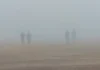 Dapoli Fog : ‘मिनी महाबळेश्वर’मध्ये धुक्याची चादर..!