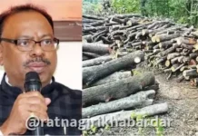 Chandrashekhar Bawankule Energy Project Statement: "झाडं तोडली तरी हरित ऊर्जा महत्त्वाची; गरज पडल्यास अधिकारी राज ठाकरेंना समजावून सांगतील" — मंत्री चंद्रशेखर बावनकुळे