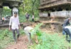 Chhava Pratishthan Shiv Mandir Cleanliness Drive: संगमेश्वर कसब्यातील प्राचीन शिवमंदिर परिसरात 'छावा प्रतिष्ठान'तर्फे भव्य स्वच्छता मोहीम