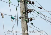 Chiplun Electricity Theft Case: टेरव येथे टॉवर उभारणीसाठी थेट आकडा टाकून वीजचोरी उघडकीस; वायरमनविरोधातही तक्रार Chiplun Electricity Theft Case: टेरव येथे टॉवर उभारणीसाठी थेट आकडा टाकून वीजचोरी उघडकीस; वायरमनविरोधातही तक्रार