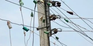 Chiplun Electricity Theft Case: टेरव येथे टॉवर उभारणीसाठी थेट आकडा टाकून वीजचोरी उघडकीस; वायरमनविरोधातही तक्रार