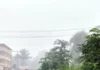 Chiplun Guhagar Highway Tree Branches Danger: चिपळूण-गुहागर महामार्गावर मिरजोळी येथे झाडांच्या फांद्यांमुळे अपघातांचा धोका वाढला