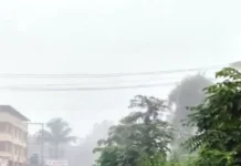 Chiplun Guhagar Highway Tree Branches Danger: चिपळूण-गुहागर महामार्गावर मिरजोळी येथे झाडांच्या फांद्यांमुळे अपघातांचा धोका वाढला