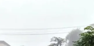 Chiplun Guhagar Highway Tree Branches Danger: चिपळूण-गुहागर महामार्गावर मिरजोळी येथे झाडांच्या फांद्यांमुळे अपघातांचा धोका वाढला