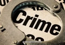 Chiplun Illegal Cattle Transport Case: पोफळी पवारवाडी-फाटा परिसरात १३ गुरांसह टेम्पो जप्त; अलोरे-शिरगाव पोलिसांची कारवाई Chiplun Illegal Cattle Transport Case: पोफळी पवारवाडी-फाटा परिसरात १३ गुरांसह टेम्पो जप्त; अलोरे-शिरगाव पोलिसांची कारवाई