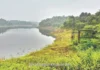 Chiplun Kalwande Dam Water Crisis: कळवंडे धरणात अवघा ८ टक्के पाणीसाठा Chiplun Kalwande Dam Water Crisis: कळवंडे धरणात अवघा ८ टक्के पाणीसाठा