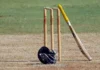 Cricket Coaching Camp: कै. छोटू देसाई क्रिकेट अकॅडमीतर्फे रत्नागिरीत मुला-मुलींसाठी हिवाळी क्रिकेट प्रशिक्षण शिबिर; १ नोव्हेंबरपासून होणार सुरुवात Cricket Coaching Camp: कै. छोटू देसाई क्रिकेट अकॅडमीतर्फे रत्नागिरीत मुला-मुलींसाठी हिवाळी क्रिकेट प्रशिक्षण शिबिर; १ नोव्हेंबरपासून होणार सुरुवात