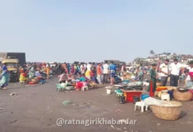 Dapoli Fish Market: हर्णे बंदरात सुरमईच्या दरात मोठी घसरण; ८०० ते १००० रुपयांची सुरमई थेट ४०० रुपयांवर