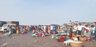 Dapoli Fish Market: हर्णे बंदरात सुरमईच्या दरात मोठी घसरण; ८०० ते १००० रुपयांची सुरमई थेट ४०० रुपयांवर