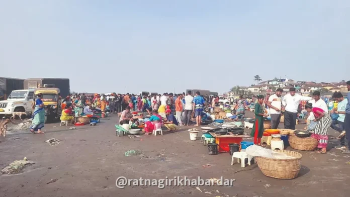 Dapoli Fish Market: हर्णे बंदरात सुरमईच्या दरात मोठी घसरण; ८०० ते १००० रुपयांची सुरमई थेट ४०० रुपयांवर Dapoli Fish Market: हर्णे बंदरात सुरमईच्या दरात मोठी घसरण; ८०० ते १००० रुपयांची सुरमई थेट ४०० रुपयांवर