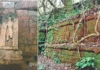 Dhamapur Historical Ruins: धामापूर येथे सापडले प्राचीन राजवाड्याचे व मंदिराचे भग्नावशेष; पुरातत्त्वीय संशोधनाची मागणी