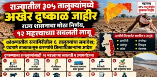 राज्यातील ३०५ तालुक्यांमध्ये अखेर दुष्काळ जाहीर; राज्य शासनाचा मोठा निर्णय, १२ महत्त्वाच्या सवलती लागू