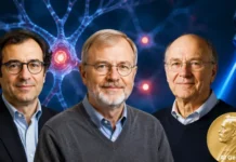 Nobel Prize in Medicine 2026: मेंदूचे रहस्य उलगडणाऱ्या तीन वैज्ञानिकांना वैद्यकशास्त्राचा नोबेल जाहीर