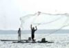 Ratnagiri LED Purse Seine Fishing Action: रत्नागिरीच्या समुद्रात एलईडीसह मिनी पर्ससीन मासेमारीला ऊत; सहाय्यक आयुक्तांकडून कारवाईचे निर्देश