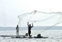 Ratnagiri LED Purse Seine Fishing Action: रत्नागिरीच्या समुद्रात एलईडीसह मिनी पर्ससीन मासेमारीला ऊत; सहाय्यक आयुक्तांकडून कारवाईचे निर्देश