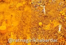 Kolhapur Pattankodoli Yatra: पट्टणकोडोलीच्या श्री विठ्ठल बिरदेव यात्रेला दणक्यात सुरुवात; भंडाऱ्याची उधळण आणि फरांडे बाबांची भाकणूक जाहीर