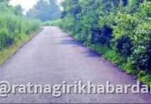 Lanja Road Condition: लांजा-बेनीखुर्द-वाडगाव-गोविळ मार्गावर झाडी-झुडपांचे साम्राज्य; अपघाताचा धोका वाढल्याने तातडीने सफाईची मागणी