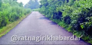 Lanja Road Condition: लांजा-बेनीखुर्द-वाडगाव-गोविळ मार्गावर झाडी-झुडपांचे साम्राज्य; अपघाताचा धोका वाढल्याने तातडीने सफाईची मागणी
