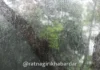 Maharashtra Rain Weather Updates: बंगालच्या उपसागरात चक्रीवादळाची स्थिती; महाराष्ट्रात २७ ते २९ ऑक्टोबरदरम्यान पावसाचा इशारा